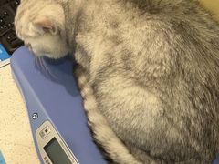 -美迦爱-牙专科·兔科·骨科诊疗中心(北苑店)