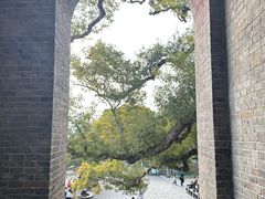 -江心屿景区