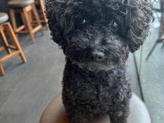 -星巴克(广州淘金路店)