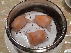 8餐厅-8餐厅(新葡京酒店)