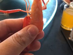 -秀水人家