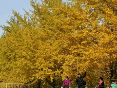 -辽宁大学(崇山校区)