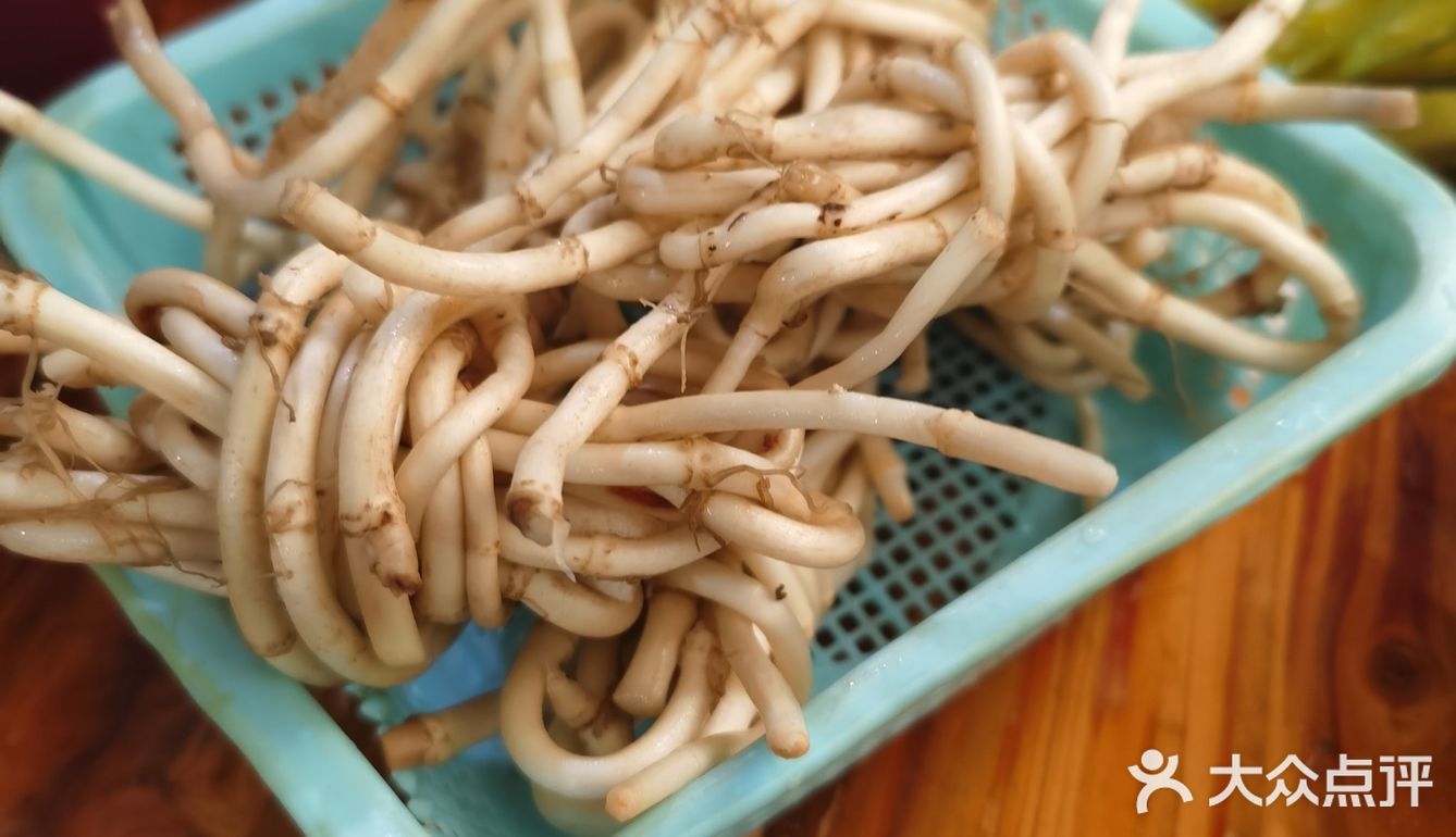 出差来成都，当地朋友带着来的
