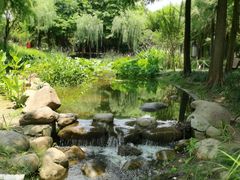 -陈家山荷花公园
