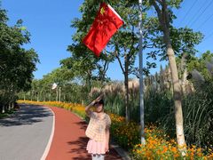 -上海长兴岛郊野公园