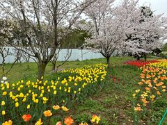 -苏州上方山国家森林公园