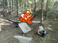 -山王坪喀斯特国家生态公园