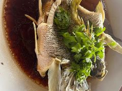 -旗鱼海番村(Orang Asli)