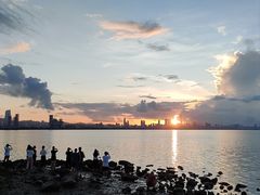 -深圳湾公园(南山区)