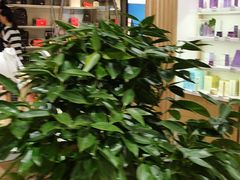 -王府井百货(总府店)