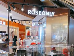 -ROSEONLY诺誓(广州K11店)