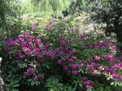 -苏州河梦清园环保主题公园