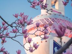 -东方明珠广播电视塔