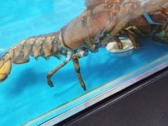 -盒马鲜生(王府广场店)