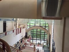 -香港大学