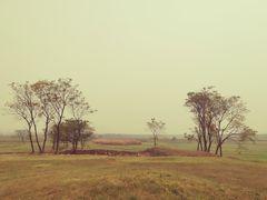 -盘龙城国家考古遗址公园