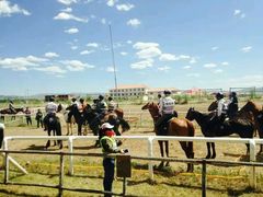 android_upload_pic-北京长城阳光山谷马术俱乐部