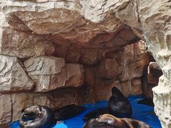 -华夏文旅海洋公园