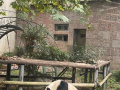 -成都动物园
