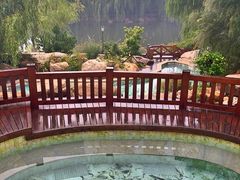 -大连罗马假日酒店温泉