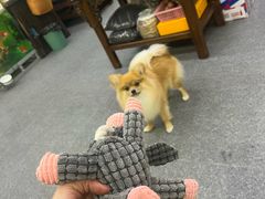 -老姐石板烧烤+铜炭火锅(总店)
