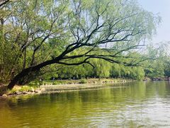 -二一九公园