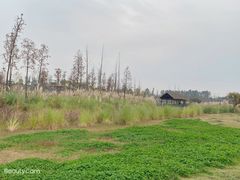 -白鹭湾湿地公园