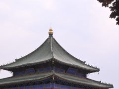 -秦宝雪花牛肉养生火锅(大兴九臻店)