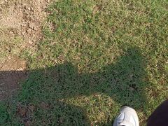 -中国钧瓷文化园