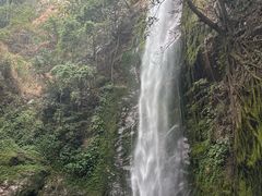 -莫里热带雨林景区