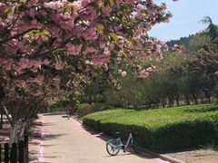 -山东师范大学(千佛山校区)