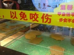-洪湘记川湘·甲鱼馆(四海凯悦美食广场店)