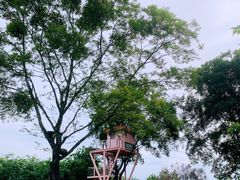 -福建鲤鱼洲酒店