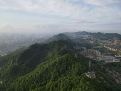 -南山植物园