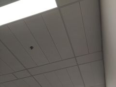 -张士灯具城(家居优选店)