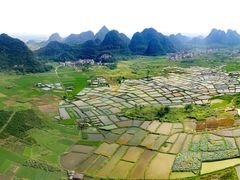-会仙湿地
