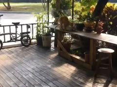 -叉叉纳里客栈(珠海情侣路唐家湾沙滩店)