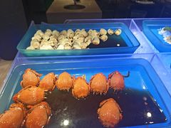 -长沙芙蓉国温德姆至尊豪廷大酒店-自助餐厅