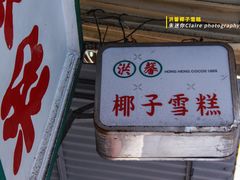 -洪馨椰子