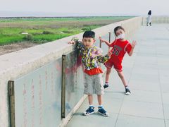 -南汇嘴观海公园