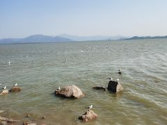 -深圳湾公园(南山区)