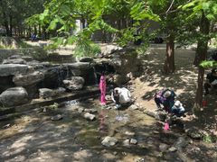 -白水寺森林公园