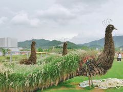 -光明小镇欢乐田园
