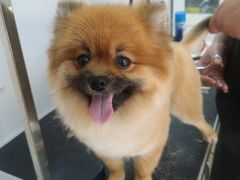 -北京恒爱动物医院(清景园分院)