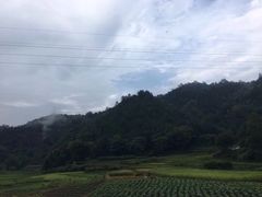 -金鸡岭桥头公园