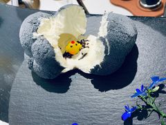 小鸡炖蘑菇-茶是一枝花泡茶店
