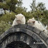 乡味美食游
