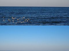 -日照灯塔风景区