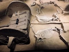 -洛阳周王城天子驾六博物馆