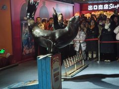 -秦皇岛新澳海底世界